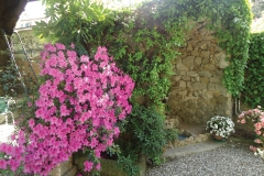 La grotta del giardino